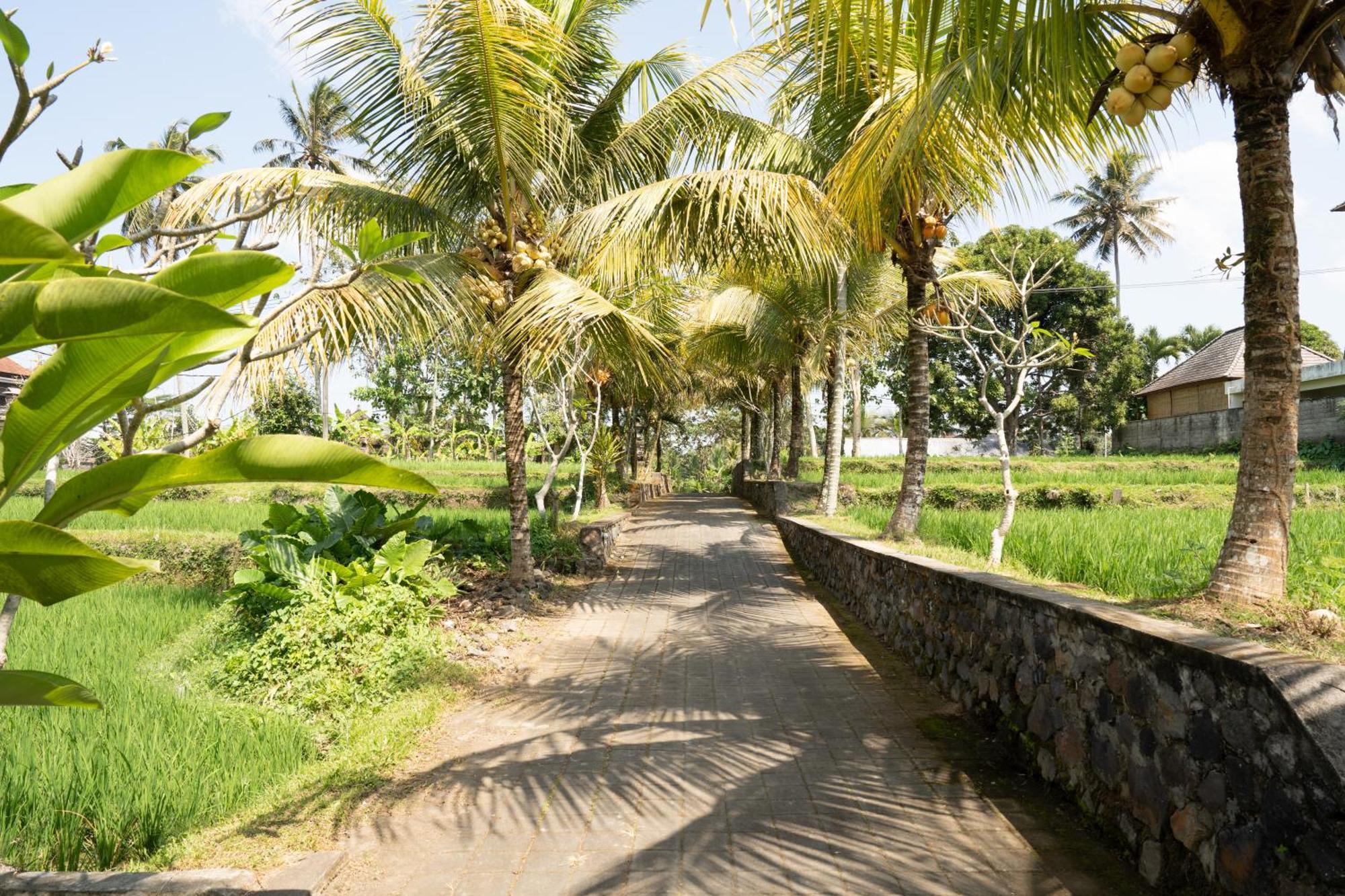 Meng Bengil Villa Ubud Exterior foto