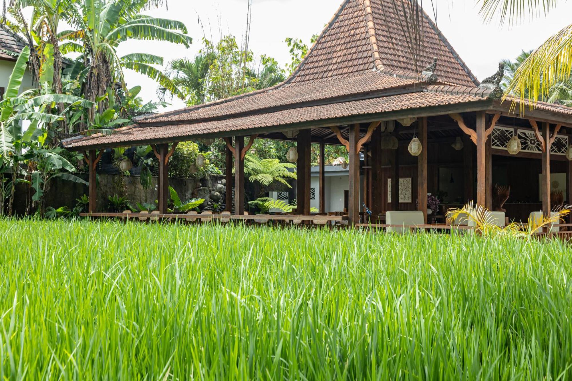 Meng Bengil Villa Ubud Exterior foto